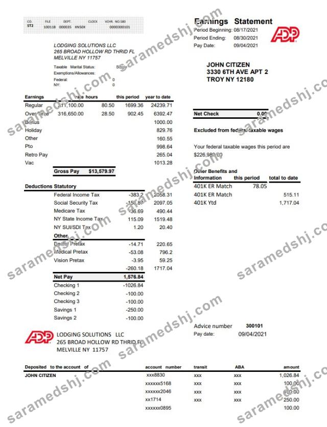 USA ADP business corporate earnings statement excel pdf